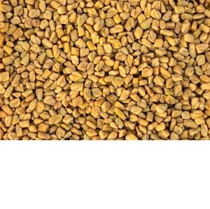 Poudre de fenugrec (Methi) finement moulue, poudre d'herbes pour les soins capillaires, les soins de la peau et usages multiples, ingrédient purifié et transformé - Product Image 6