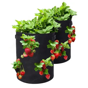 Multi-Poort Plant Zaailing Tas Niet Geweven Biologisch Afbreekbaar Plant Grow Bag Aardbei Grow Bag