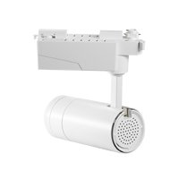 Projecteur LED 30W pour tableaux de musée, éclairage sur rail pour peintures