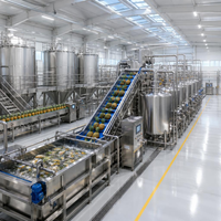 Ligne de production automatique d'eau de coco, extraction à froid, stérilisation UHT, remplissage aseptique, automatisation PLC, usine de boissons
