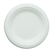 Assiettes rondes jetables en canne à sucre 100 % compostables, écologiques et biodégradables