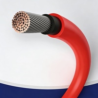 TÜV-Zertifiziertes 4mm 6mm 2,5mm Solarkabel Philippinen IEC 62930 Taifun-Resistent UV-Beständig