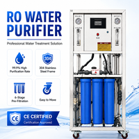 Usine Industrielle de Traitement d'Eau par Osmose Inverse RO 250lph – Machine Principale de Filtration