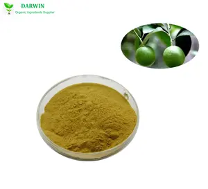 GMP Factory supply Immature Bitter Orange Extract/Immature Bitter Orange P.E