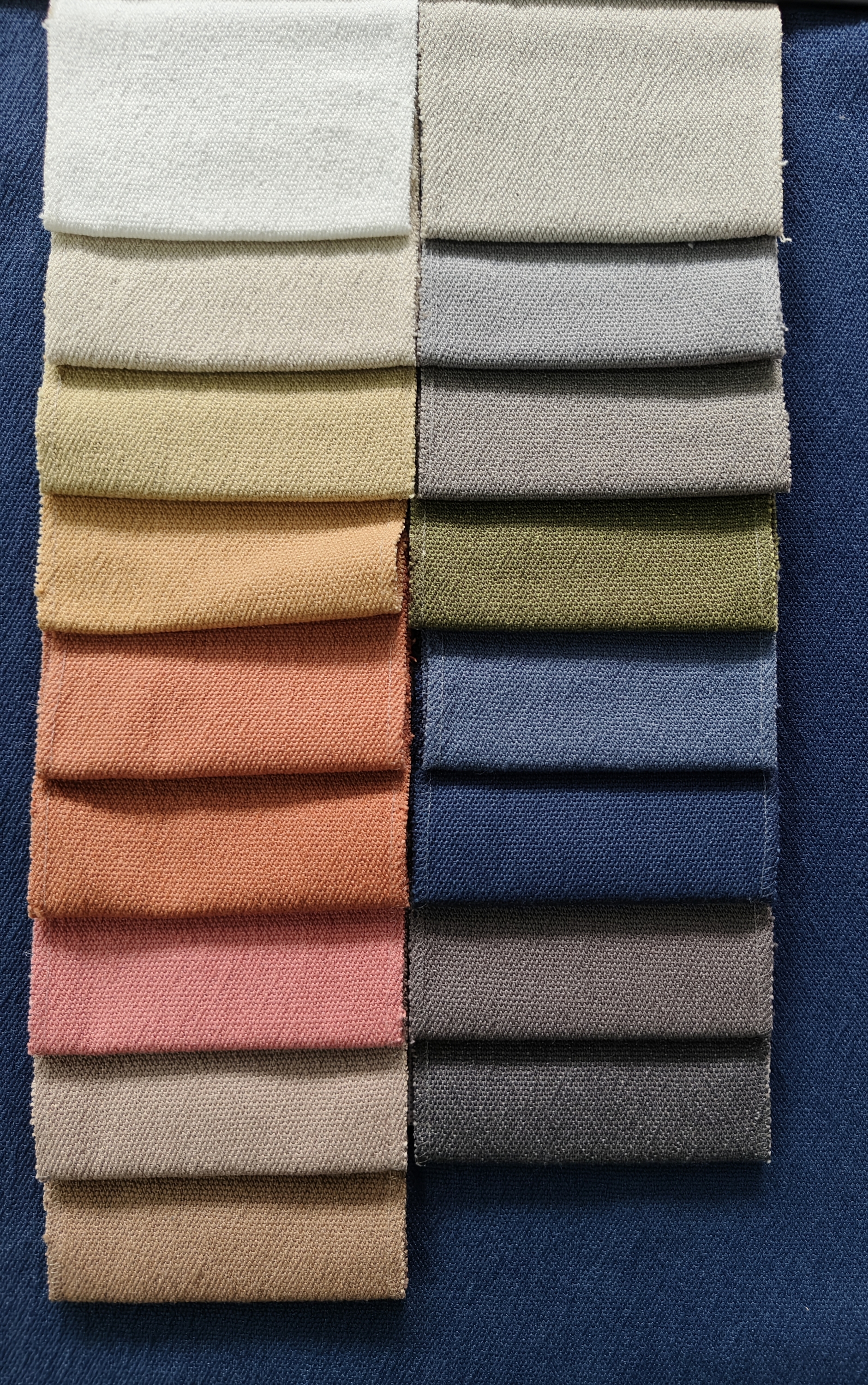 Colori