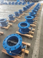 Válvula de Retención de Mariposa de Cierre Lento y Baja Resistencia DN50-DN1200 Tipo Brida para Tuberías de Agua con Sellado EPDM