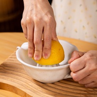 Cross-border Manual Ceramic Fruit Orange Lemon Juice Bowl Simple Kitchen Small Complementary Food Pressing