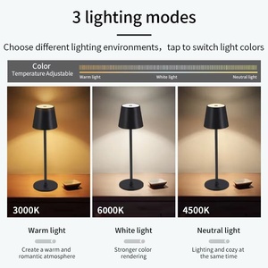 Nhà Máy Mới Châu Âu Sáng Tạo Có Thể Sạc Lại Sang Trọng Ánh Sáng Ban Đêm LED Kim Loại Sắt Phòng Ngủ Cổ Điển Nhà Hàng Thanh Lãng Mạn Bảng Đèn - Product Image 3
