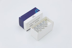EQ011 Mezcla de <span class=keywords><strong>DNTP</strong></span> de 1mL (Grado PCR) 10 mM de cada uno para Investigación - Product Image 2