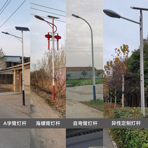 Poteaux d'éclairage extérieur en métal, hauteur et design personnalisables pour routes municipales, rurales et urbaines - Product Image 2