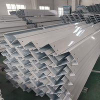 Ossature de Conteneur Amovible en Acier Galvanisé pour Maison Préfabriquée Modulaire, Pièce Familiale, Cadre de Conteneur 20 Pieds
