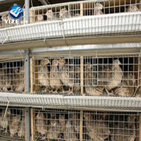 Cage de caille d'usine à vendre
