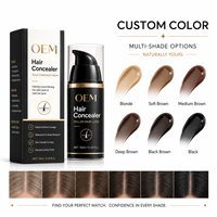 Corrector Capilar Mágico Impermeable, Fórmula Vegana OEM ODM para Hombres y Mujeres, Polvo para Retocar la Raíz y Rellenar el Cabello