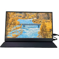 15,6 Zoll IPS 1920*1080 FHD Gaming Tragbarer Monitor Bildschirmerweiterung für Laptop Mobiler Tragbarer Monitor