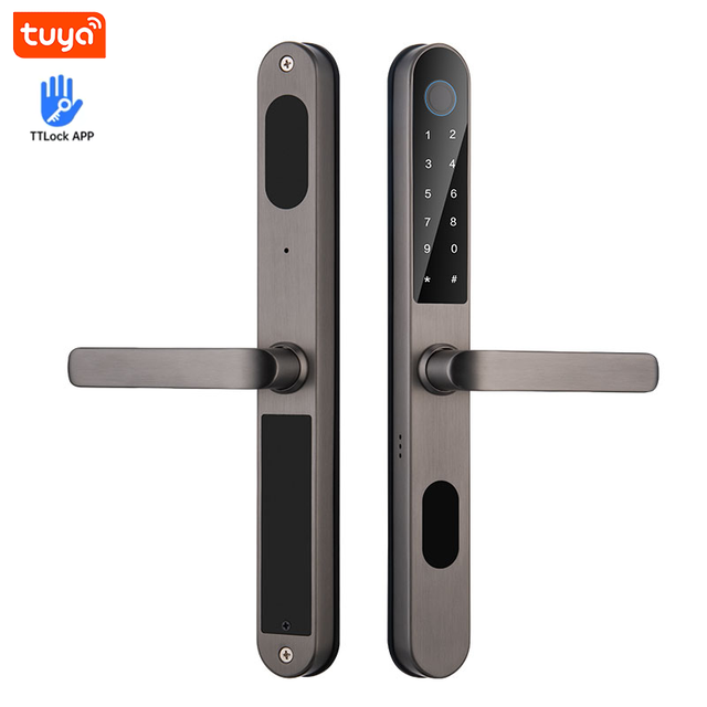 New Model 304 Stainless Steel Waterproof Digital Sliding Lock WiFi-Enabled Professional Smart Locks Supports Tuya TT Lock Dua