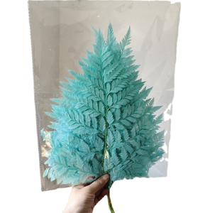 <span class=keywords><strong>Felce</strong></span> sbiancata in <span class=keywords><strong>felce</strong></span> di lunga durata per la decorazione - Product Image 6