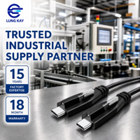 Câble USB 3.2 Gen 2 Type C LUNGKAY OEM 10 Gbps 100 W PD 5 A à charge rapide avec double verrouillage à vis pour caméra industrielle, médical, CNC