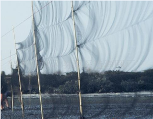 Lưới Bẫy Chim Piege A Filet Pour Oiseaux 5X20M - Product Image 4