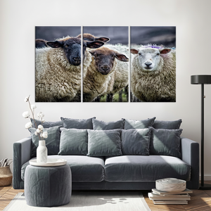 Elegant Sheep <b>Canvas</b> Print: Modern Farmhouse <b>Wall</b> Art Decor,SET OF 3 <b>CANVAS</b> - Product Image 2