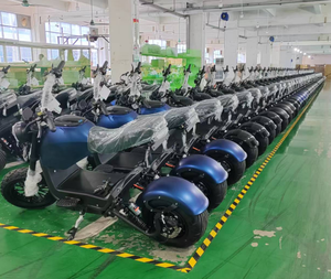 Motocicleta eléctrica con EEC, 2018 w, 60v, diseño de lujo, la última moda, 800 - Product Image 6