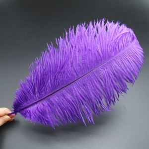 Grande plume d'autruche multicolore pour la décoration <span class=keywords><strong>de</strong></span> mariage Oiseau d'Afrique du Sud Costume <span class=keywords><strong>de</strong></span> carnaval d'art réel - Product Image 6