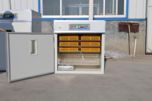 Máy Ấp Trứng Gia Cầm Chạy Điện + Chạy Điện Máy Ấp Trứng 528 Máy Ấp Trứng Kết Hợp 3 Trong 1 - Product Image 5