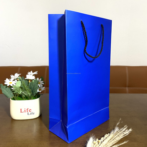 Bolsa de Transporte Biodegradable con Impresión Personalizada para Comida Rápida, para Llevar, para Uso en Supermercados, Promociones, Bolsas Personalizadas - Product Image 2