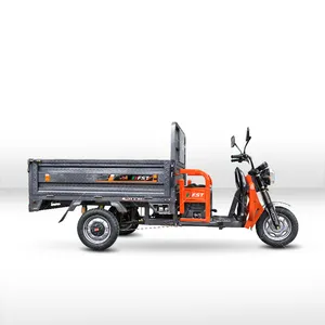 Cargo electric tricycle range 100km 52ah delivery business Carrier box for cargo transportation electric motorcycles