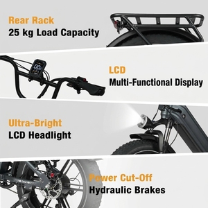 Vélo électrique cargo à cadre basse, pneus larges CST 20x4.0, 250 W, 48 V, batterie 18 Ah, freins hydrauliques Zoom, 7 vitesses - Product Image 6