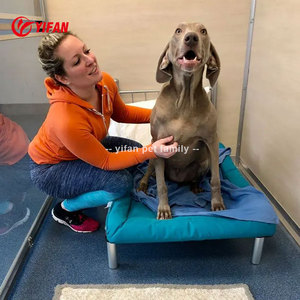 Cama Elevada para Perros de Lujo, Transpirable, Extraíble y Lavable, para Perros Pequeños/Medianos/Grandes, Uso en Interiores/Exteriores, Todas las Estaciones - Product Image 4