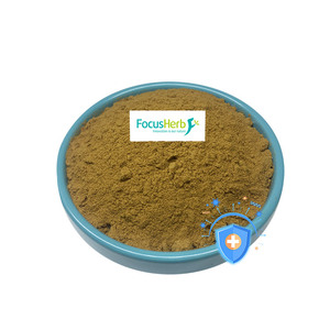 FocusHerb Supplément d'extrait de plantes de qualité alimentaire 4% poudre d'acide cichorique de fleur d'échinacée pourpre - Product Image 2