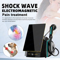 Appareil de thérapie électromagnétique portable pour soulager la douleur, masseur pour la relaxation musculaire et la physiothérapie
