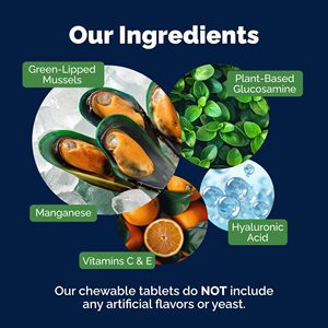 Integratore per Articolazioni di Cani Anziani OEM/ODM - <span class=keywords><strong>Compresse</strong></span> Masticabili a Base Vegetale con Glucosamina, Condroitina e Cozza Verde per il Sollievo dal Dolore - Product Image 2