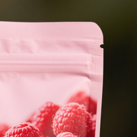 High-quality Food Grade Packaging Frozen Fruit Nuts Chocolate bar Protein Powder Stand up Zipper Mylar Bag