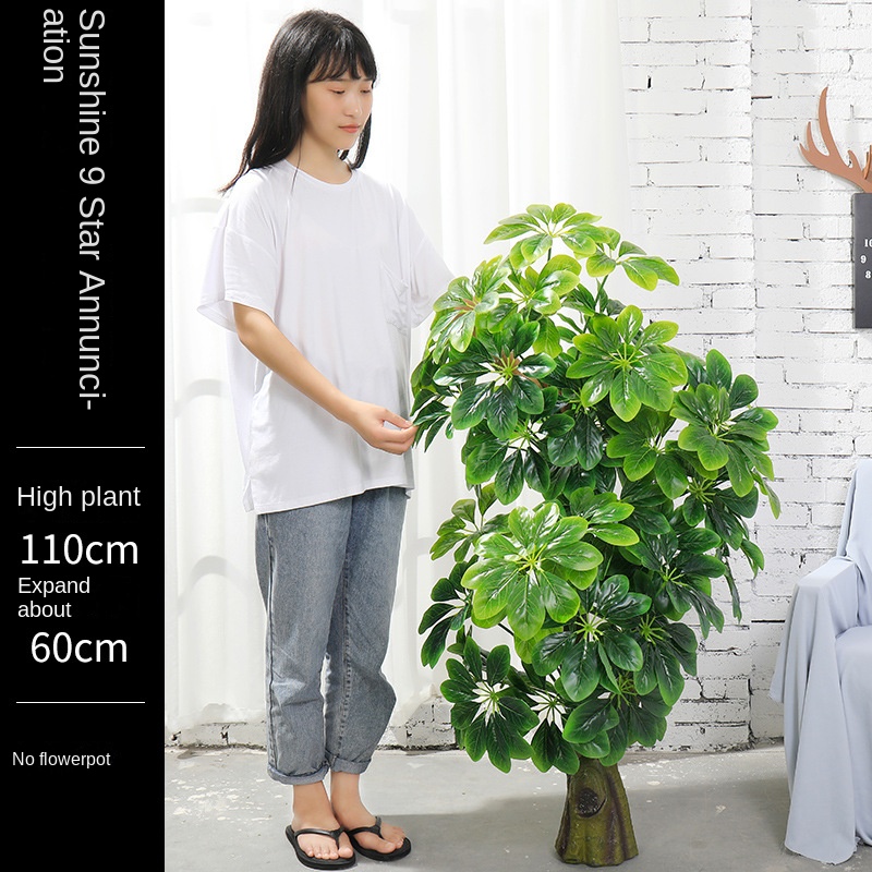 green Sunshine Nine Star News (No Pot)