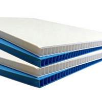 Lámina de Plástico PP de 2mm/3mm/4mm/5mm/6mm/8mm/10mm con Servicio de Corte para Uso en Construcción