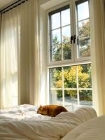 Ventanas y Puertas Corredizas de Aluminio sin Marco con Malla de Acero Inoxidable Certificada, Vidrio Templado Doble