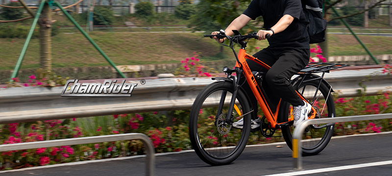 DM427 ChamRider 750W Electric Mountain Bike - 48V, 27Ah, 10 Speed