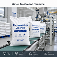 Flocculant en poudre blanche PAC 30% pour le traitement des eaux usées municipales