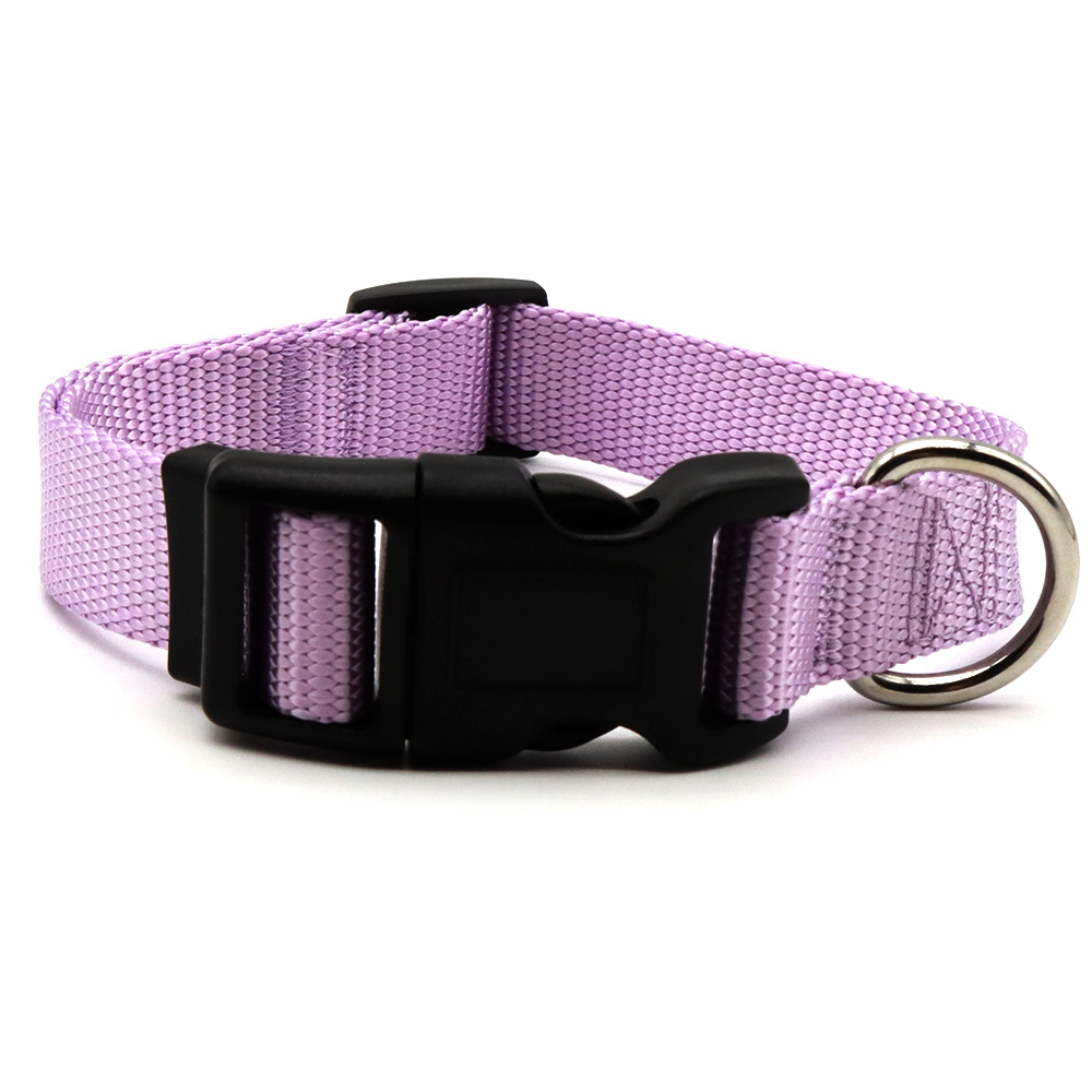 Collar púrpura