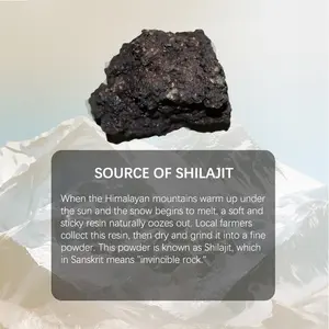 Cibo naturale naturale Shilajit Naturel Pilule puro Shilajit Shilajit Himalayan capsula 700mg