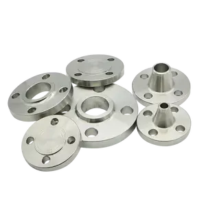 Wholesale Stainless Steel SS304/316 Flanges