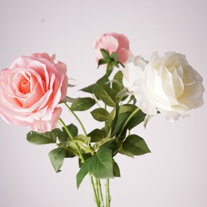 Großhandel Künstliche Blumen Echt Aussehende Feuchtigkeitsspendende Mondel-Rose Einzelblumen-Arrangement Fotografie-Dekoration Blumenschmuck - Product Image 1