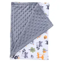 Baby Wholesale Custom Baby Blanket Soft Minky Dot Baby Print Blanket