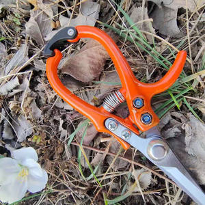 Tijeras para recoger frutas de naranja, herramienta de poda de cabeza recta con hoja de acero inoxidable de 40mm para huertos y jardines - Product Image 1