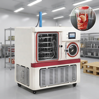 Medidor de Vacío Pirani con Control PLC INNOVA, 40 Programas, Liofilizador Piloto para Laboratorio en Venta