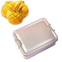 Boîte à lunch en beignet rectangulaire avec logo personnalisé imprimé en fer blanc de qualité alimentaire pour camping en plein air étui en étain portable pour macaron
