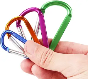 Flat Aluminum D Shape Camping Water Bottle Mini Snap Hook Customized Clip Aluminum Pink 2 Inch Carabiner Clip