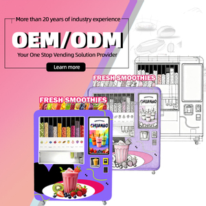 OEM ODM Manufacture Factory Card Cash Coin Payment Full Automatic Touchscreen Compressor Cooling <b>Remote</b> Vending Machine - Product Image 6