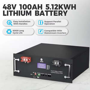 Sistema de Batería de Litio LiFePO4 de Energía Solar de 51.2V 100Ah para Almacenamiento de Energía Doméstica 5Kwh 10Kwh 15Kwh 20Kwh Batería para Servidor en Rack - Product Image 6